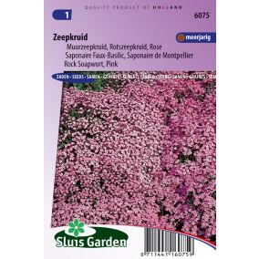 Saponaire Faux-Basilic / de Monpellier Rose-Pink - Graines De Fleurs Vivaces - Ca. 0,3  g