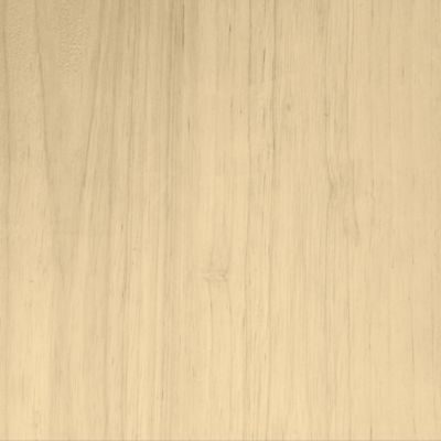 Saturateur extérieur Soin du bois Tollens effet naturel mat 2,5L