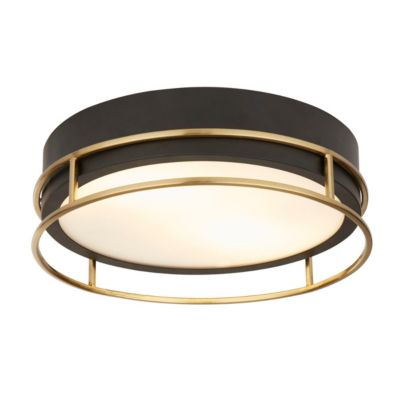 Searchlight Pheonix Plafonnier Phoenix à 2 ampoules, noir, laiton, verre dépoli