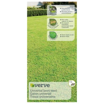 Semence gazon universel Verve 5kg 200m²