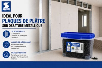SEMIN Vis Plaque de Plâtre 3,5 x 25 mm - Auto-Perceuses TTPC - Acier ...