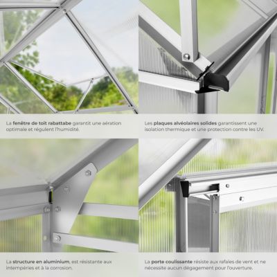 Serre De Jardin En Aluminium Polycarbonate Avec Porte Et Fenêtre Klein