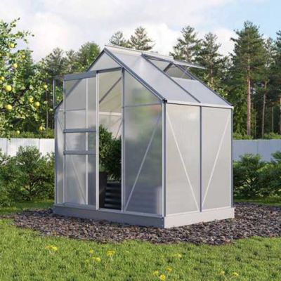 Serre de jardin en polycarbonate Planet 6 mm, Long 1.95 m, Couleur Aluminium