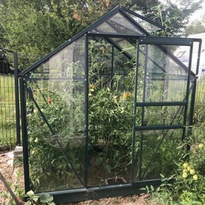 Serre de jardin Lams Allium en aluminium et verre trempé L.1,34 x l.1,95 x H.2,08 m surface 2.5 m²