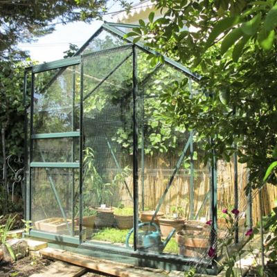 Serre de jardin Lams Allium en aluminium et verre trempé L.1,34 x l.1,95 x H.2,08 m surface 2.5 m²