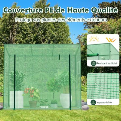 Serre de Jardin Serre à Entrée avec Couverture en PE 4 Cordes Anti Vent Piquets de Sol Porte à Fermeture Éclair Enroulable