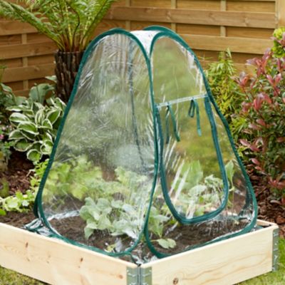 Serre de jardin Verve Pop Up surface de couverture 0,46 m² L.68 x l.68 x H.80 cm