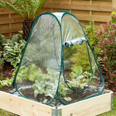 Serre de jardin Verve Pop Up surface de couverture 0,46 m² L.68 x l.68 x H.80 cm