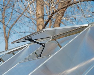 Serre en aluminium et polycarbonate Palram Canopia Mythos gris 6 x 6 m