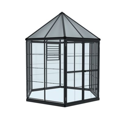Serre en aluminium et polycarbonate Palram Canopia Oasis héxagonale grise 8m²