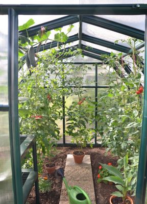 Serre en pvc et polycarbonate Palram Canopia Rion Ecogrow vert 6 x 8 m