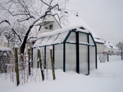 Serre en pvc et polycarbonate Palram Canopia Rion Ecogrow vert 6 x 8 m