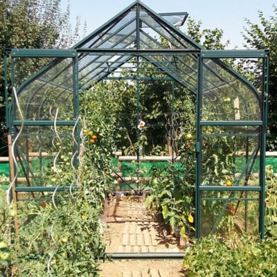 Serre en verre Lams Aloe vert 8,10m²