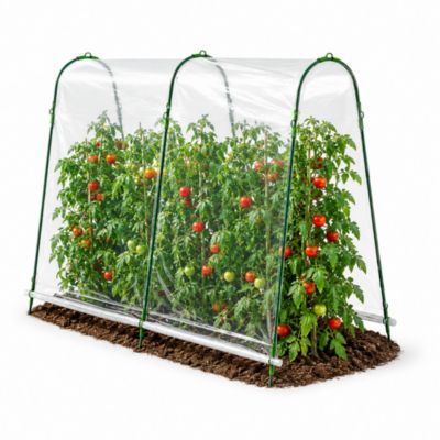 Serre pour tomates 200x120x180 cm avec bache de protection
