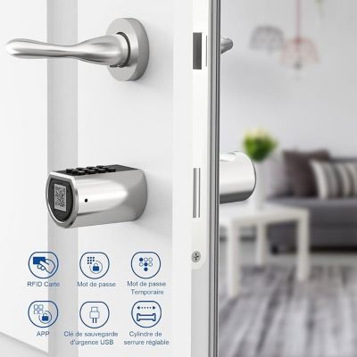 Serrure Connectée Argent Code, RFID, Bluetooth , Wi-Fi  Sécurité Intelligente, Design, Installation Facile