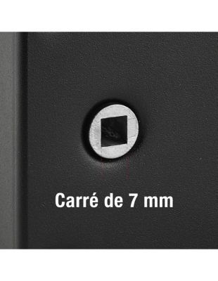 Serrure horizontale en applique à clé à fouillot pour portail, gauche, axe 56mm, 140x88mm, noir, 2 clés - THIRARD