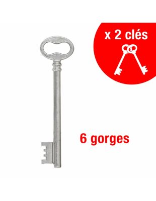 Serrure horizontale en applique à clé à fouillot pour portail, gauche, axe 56mm, 140x88mm, noir, 2 clés - THIRARD