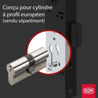 Serrure à larder - Axe à 21 mm - Pêne dormant basculant et 1/2 tour - Série Numéro7 - DOM
