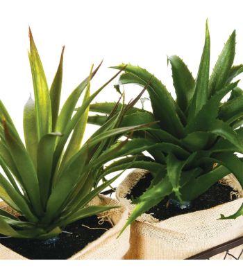 Set 2 Plantes artificielles Aloe Vera dans un panier en métal H 21 cm