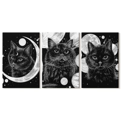 Set 3 Tableaux Toile Tendue Wallfluent 40x60 cm Chats Noirs Espace Lunaire Composition Harmonisée Déco Murale Salon