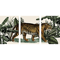 Set 3 toiles tiger 60 x 90 cm