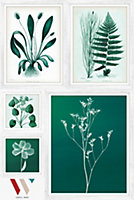 Set 5 tableaux Vinyl Way Dada Art feuilles vert L.90 x l.60 cm