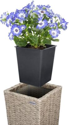 Set de 3 Pots de Fleurs en Polyrotin Ivoire Cache Pot
