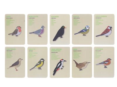 Set pour enfants Explorateur oiseaux - Esschert Design