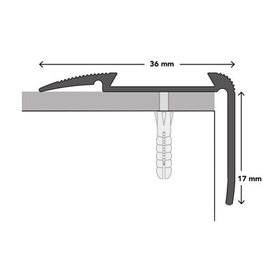 Seuil d'escalier Glory Aluminium anodisé Forme: L Argent M 100 cm