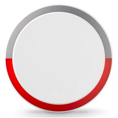 Sirène extérieure sans fil 112 dB Somfy Protect 2401491