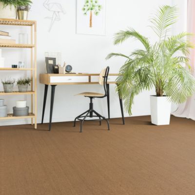 Sol Coco Delhi - Panama - 2m x 3m