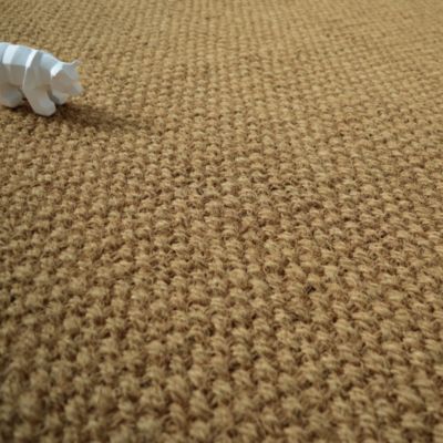 Sol Coco Delhi - Panama - 2m x 3m