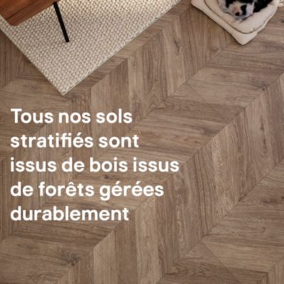 Sol stratifié clipsable Leyton chêne gris 10 mm