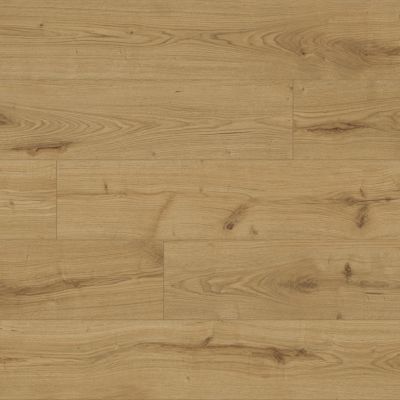 Sol stratifié Fleetwood GoodHome, passage élevé AC4, effet chêne miel, L.138,3 cm x l.19,3 cm x ép.8 mm