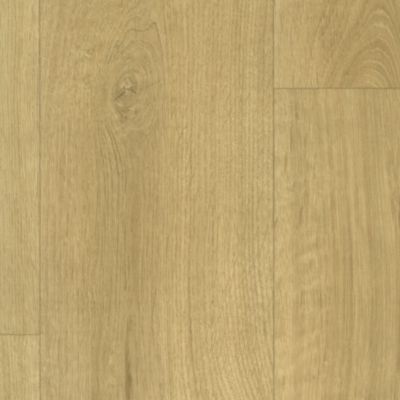 Sol Vinyle imitation Parquet Chêne miel - 4m x 8m
