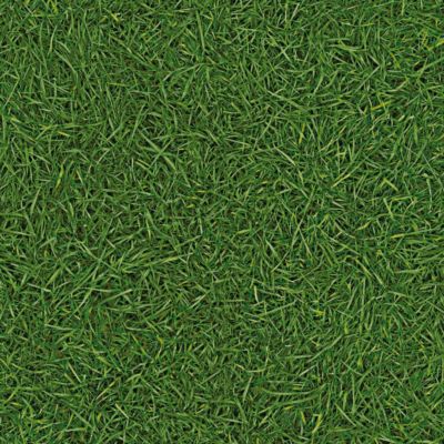 Sol Vinyle Nature - imitation Gazon - 4m x 6m