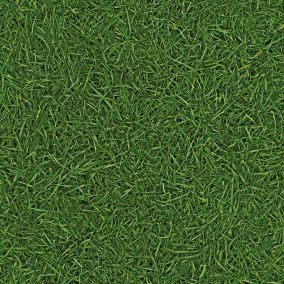 Sol Vinyle Nature - imitation Gazon - Rouleau de 4m x 17m