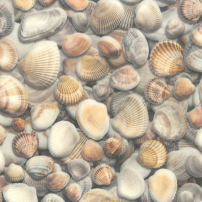 Sol Vinyle Textile - Relief 3D - Imprimé Coquillages - Rouleau de 2m x 22m