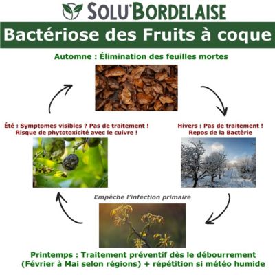 Solu'bordelaise - 5 Kg De Bouillie Bordelaise - Mildiou De La Vigne Utilisable Agriculture Biologique 5 Sachets 1kg