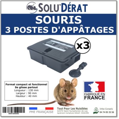 SOLU'DERAT- 3 Postes d'Appâtages pour Souris, Sécurisés pour Enfants et Animaux, Lot de 3 Unités - Boîtes Vendues Vides sans Appât