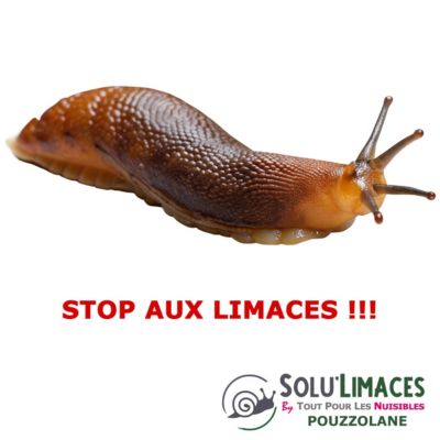 SOLU'LIMACES - POUZZOLANE 500 g - Barrière Anti Limaces, Escargots et autres gasteropodes