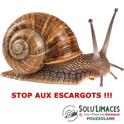 SOLU'LIMACES - POUZZOLANE 500 g - Barrière Anti Limaces, Escargots et autres gasteropodes