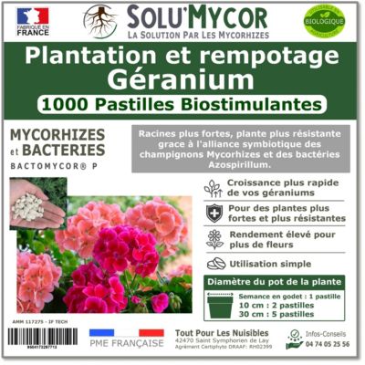 SoluMycor 1000 Pastilles Biostimulantes Géraniums Semis et Plantation Favorise le Développement Racinaire