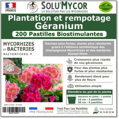 SoluMycor 200 Pastilles Biostimulantes Géraniums Semis et Plantation Favorise le Développement Racinaire