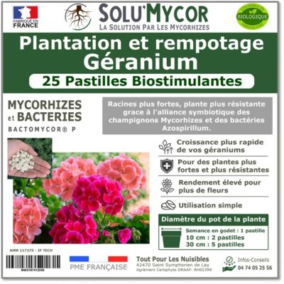 SoluMycor 25 Pastilles Biostimulantes Géraniums Semis et Plantation Favorise le Développement Racinaire