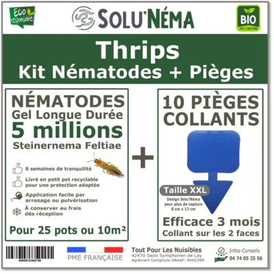 Solunéma - Kit 5 millions Nématodes contre les Thrips + 10 pièges ...