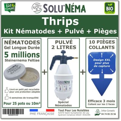 Solunéma - Kit Complet Anti-Thrips - 5 Millions Nématodes (SF ...