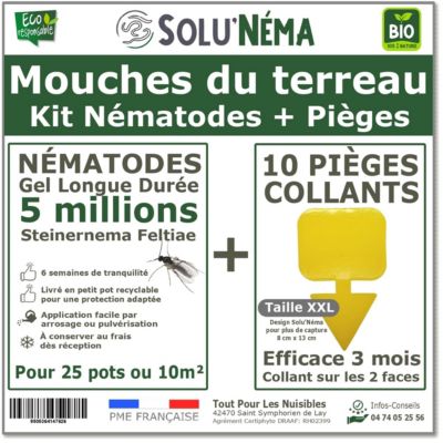 Solunéma - Kit Nématodes 5 Millions + 10 Pièges Jaunes XXL - Contre Mouches du Terreau - pour 25 Pots