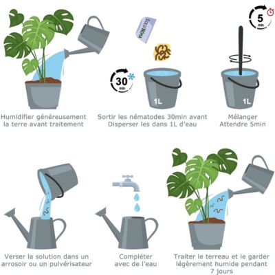Solunéma - Kit Nématodes 5 millions + Néma'Boost - Contre Les Mouches ...
