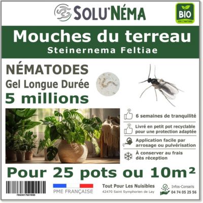 Solunéma - Nématodes contre la Mouche du Terreau - 5 millions Steinernema Feltiae (SF) - Traitement pour 25 pots soit environ 10m²